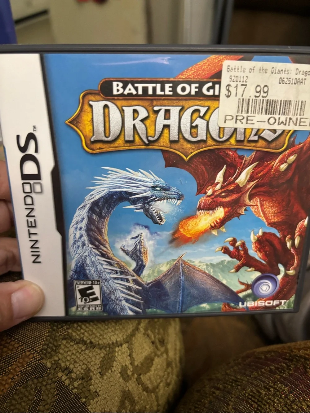 Nintendo DS Game — Blue & Red Dragon Cover Art